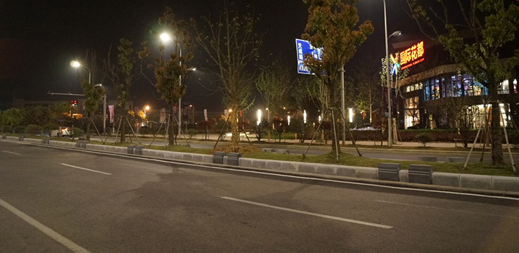 Binjiang Development Zone Street Lighting Project