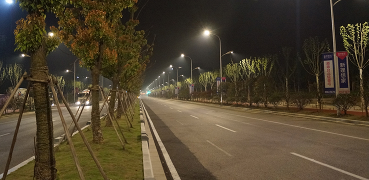 Binjiang Development Zone Street Lighting Project
